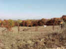 FallColor20.jpg (72673 bytes)