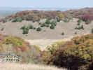 FallColor4.jpg (77582 bytes)
