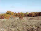 FallColor5.jpg (71810 bytes)