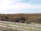 FallColor7.jpg (62129 bytes)