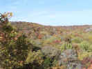FallColor8.jpg (79234 bytes)