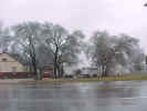 MunsterHouse&Trees.jpg (58998 bytes)