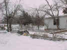 GrandpawsSnow03.jpg (89673 bytes)