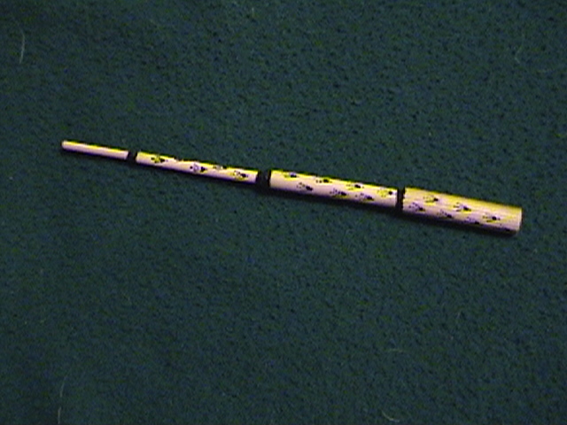 Rio Grande River Cane