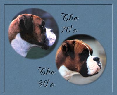 Aust.Ch.Topline Tradition at 7 years and Aust.Ch.Loujay Rich and Famous at 15 months