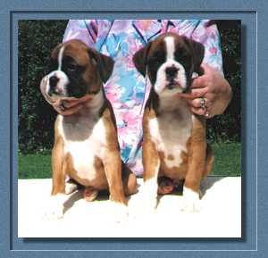 Dallas and Daisy