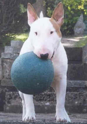 Louie holding a ball