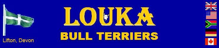 LoukaBanner