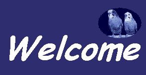 Welcome to the Budgies Page