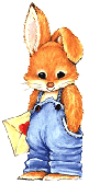 cute bunny
