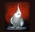 Visit tiel's page