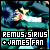 Sirius Black (Padfoot)/Remus Lupin (Moony)/James Potter (Prongs) (Harry Potter)