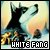 White Fang - Jack London
