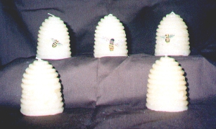 beeeeeeeeees hive.jpg (60900 bytes)