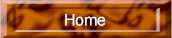 home.jpg (2078 bytes)