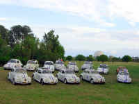 Herbie the Love Bug 40th Anniversary