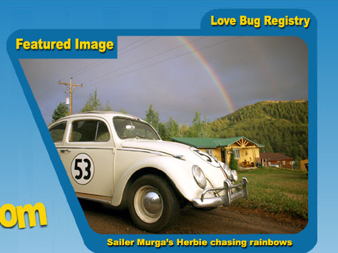 Herbie the Love Bug