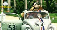 Herbie the Love Bug