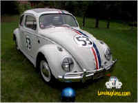 Herbie the Love Bug