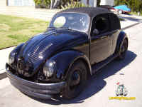 Herbie the Love Bug Horace