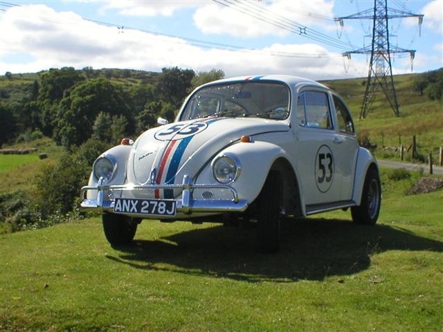 Herbie the Love Bug