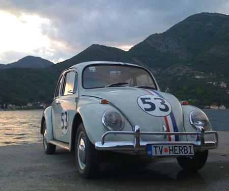 Herbie the Love Bug