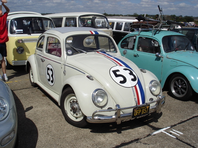 Herbie the Love Bug