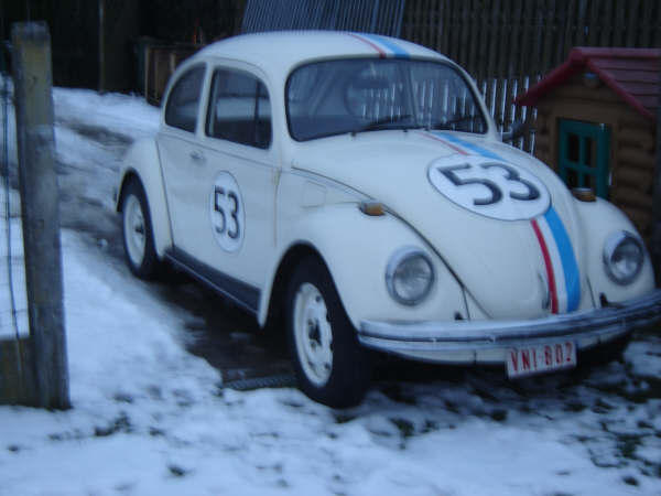Herbie the Love Bug