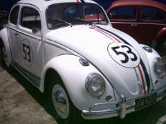 Herbie the Love Bug