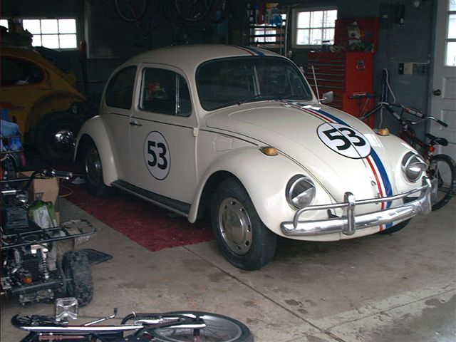 Herbie the Love Bug