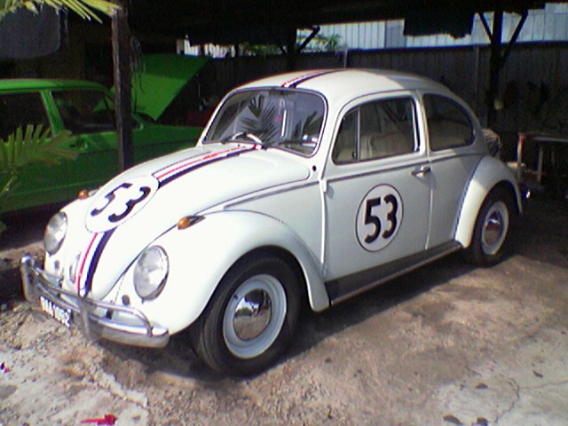 Herbie the Love Bug