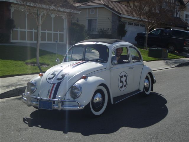 Herbie the Love Bug