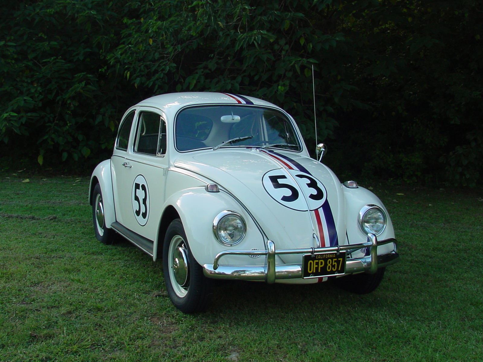 Herbie the Love Bug