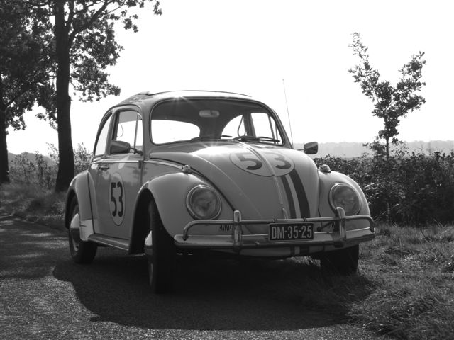 Herbie the Love Bug