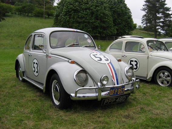 Herbie the Love Bug