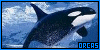 Dangerous - The Orcas Fanlisting