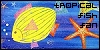 Just Swimmingly -- the one and only Tropical Fish Fanlisting