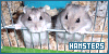 Hammies