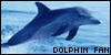 �SPLASH!