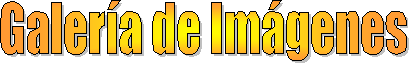 Galer�a de Im�genes
