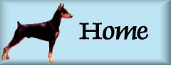 Home / Index page The Doberman Gang