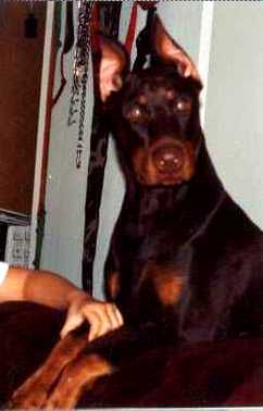 Duke's excited for you click and see page two...