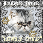 "Lovely Child" Cattery
