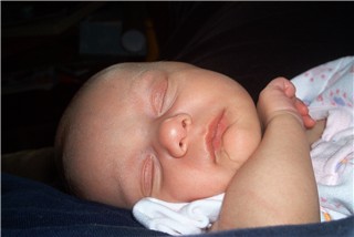 5 weeks old