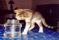 Rita pretende di dipingere
