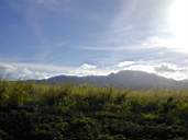 DSCN0233.jpg