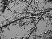 DSCN0773.jpg