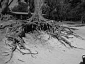 DSCN0781.jpg