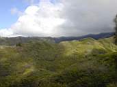 DSCN1147.jpg