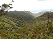 DSCN1158.jpg